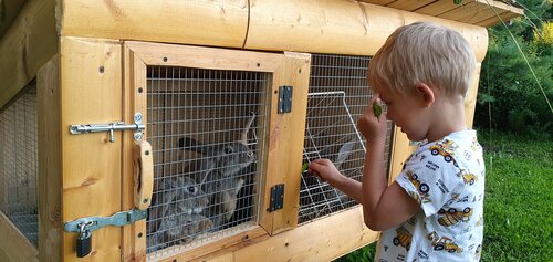 Гостиница Настасьино Хуторок в Веневе