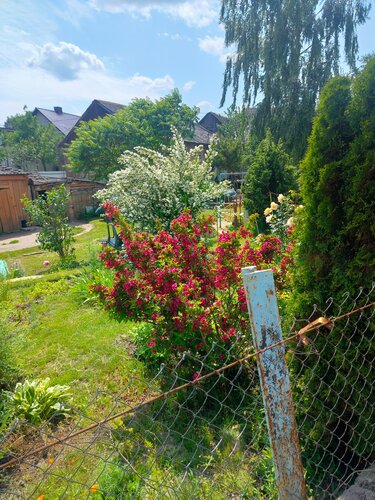 Гостиница Уютные апартаменты в Гродно в Гродно