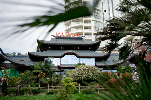 Kailas Park & SPA by Stellar Hotels, Sochi 3* — фото 2