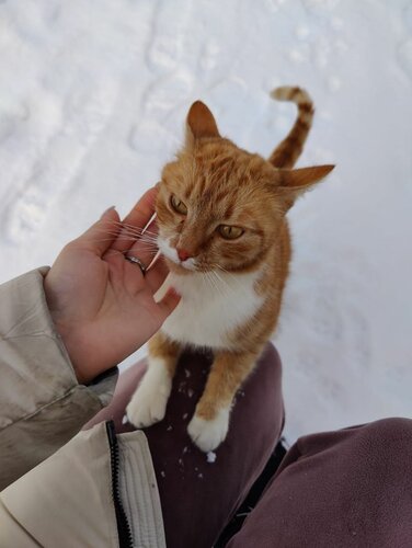 Чилим на крыше  фото 8