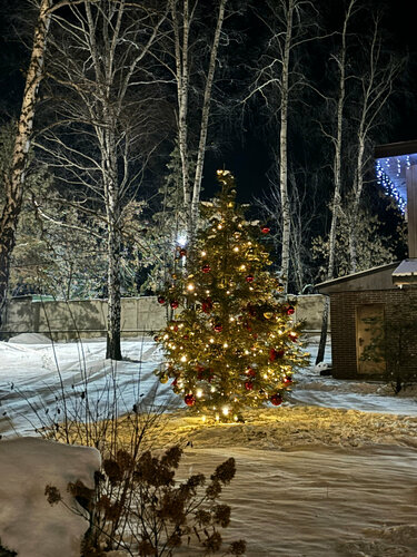 Кумкуль Парк  фото 4