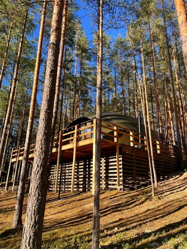 Глэмпинг Mystic Hills в Выборгском районе