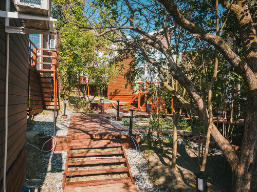 Сочинский берег  фото 5