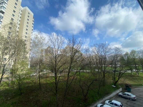 Квартира на Ромашке фото 7