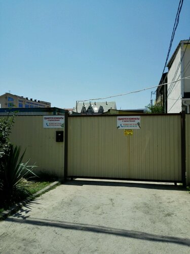 Каролина  фото 3