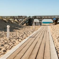 Гостиница Aurum Family Resort & SPA в Веселовке