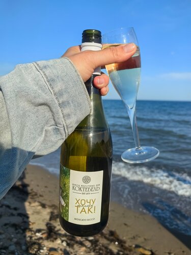 Дом в аренду Анна в Курортном