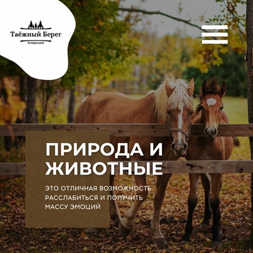 Таежный берег  фото 4