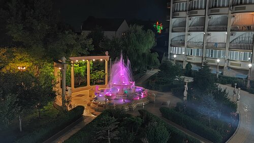 Журавли  фото 7