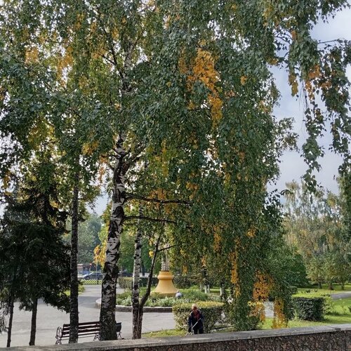 Гостиница Новокузнецкая в Сосновке