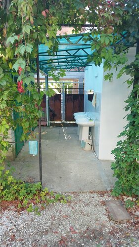 Александрийский дворик  фото 8