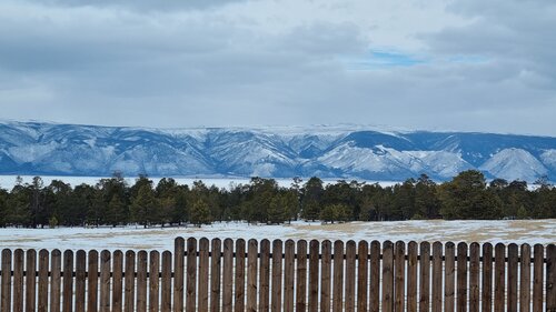 Ольхон шоколад  фото 8