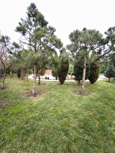 Pinebrook  фото 5