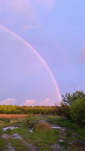 Усадьба Гусли Кедр-2  фото 4