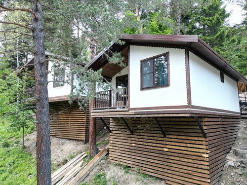 Три медведя фото 6