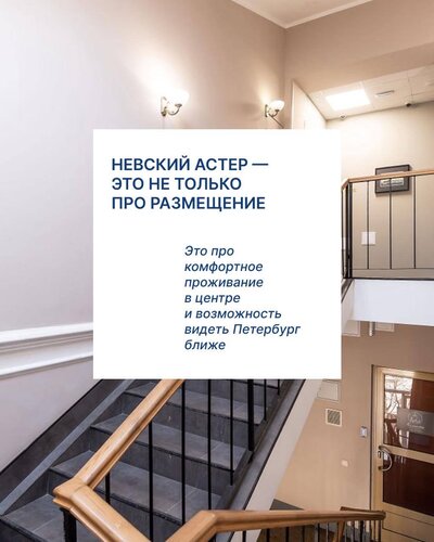 Невский Астер фото 6