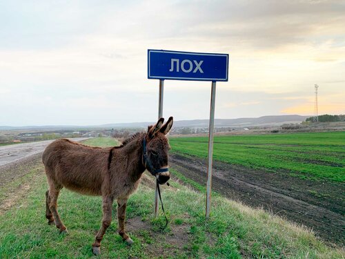 Кемпинг Горки-Лох в Базарно-Карабулакском районе