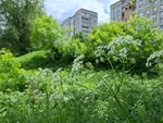 Уютная однушка на Пионерской в центре города в Уютная однушка на Пионерской в центре города