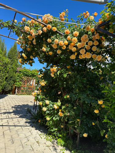Коттеджи на Лазурном  фото 4