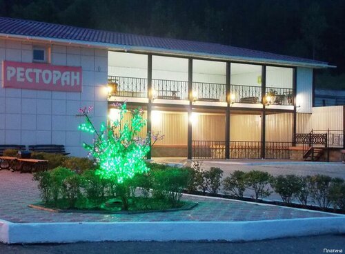 Гостиница Платина в Амурской области