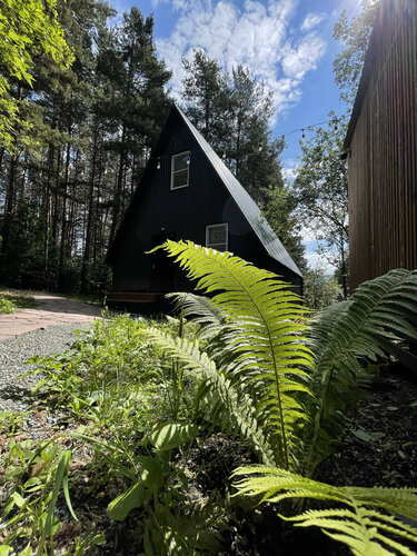Дом в аренду Дом A-frame в Белорецке