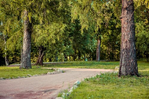 Дом отдыха Староладожская дача в Староладожском сельском поселении