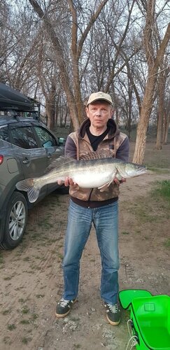 Дом отдыха Золотой Плав в Тамбовском сельсовете
