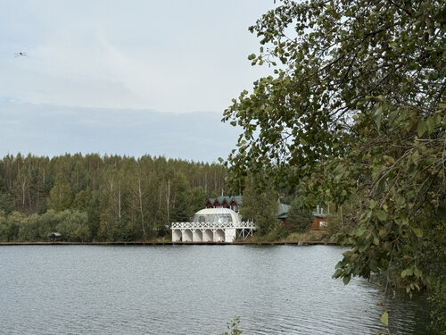 Дом отдыха Загородный клуб Литвиново в Пушкино