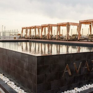 Avax