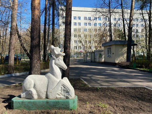 Гостиница Лось в Мытищах