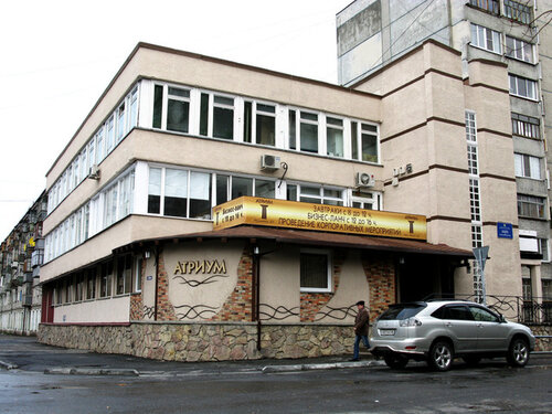 Атриум  фото 7