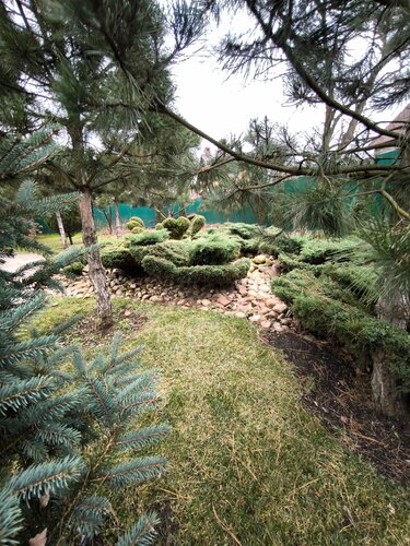 Pinebrook  фото 2