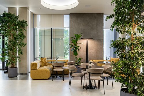Svet фото 8