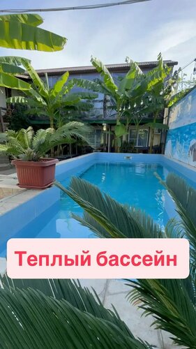 Гостевой дом У Палыча в Сухуме