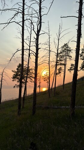 Дом отдыха Царская усадьба в Ульяновской области