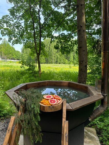 Хвоя и Пар — фото 4