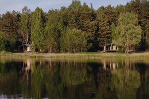 отель Wood Wood Wood