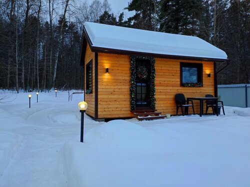 Загородный дом Shuya Tiny House (дом 1) в Шуе