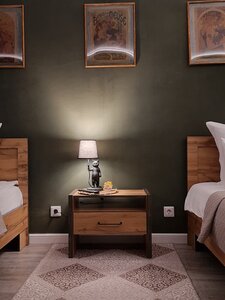 Квартира Рыжий Кот Дружный