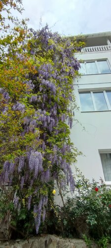 Гостиница Вилла Любимая в Алуште