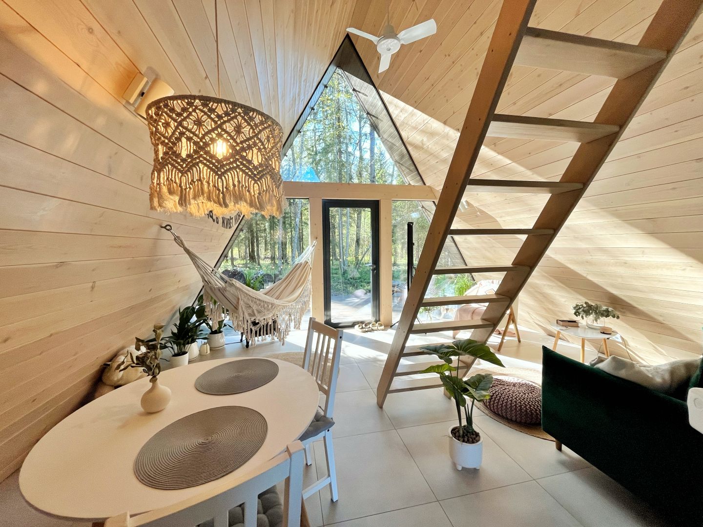 Эстетичный афрейм с панорамным видом на дикий лес