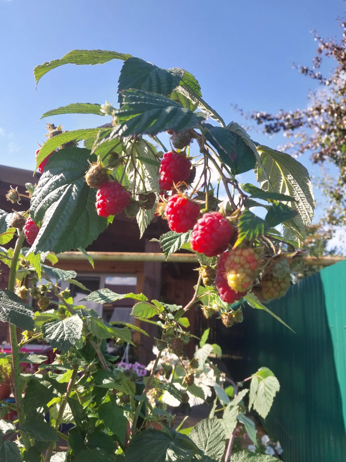 Семейный номер с ванной комнатой