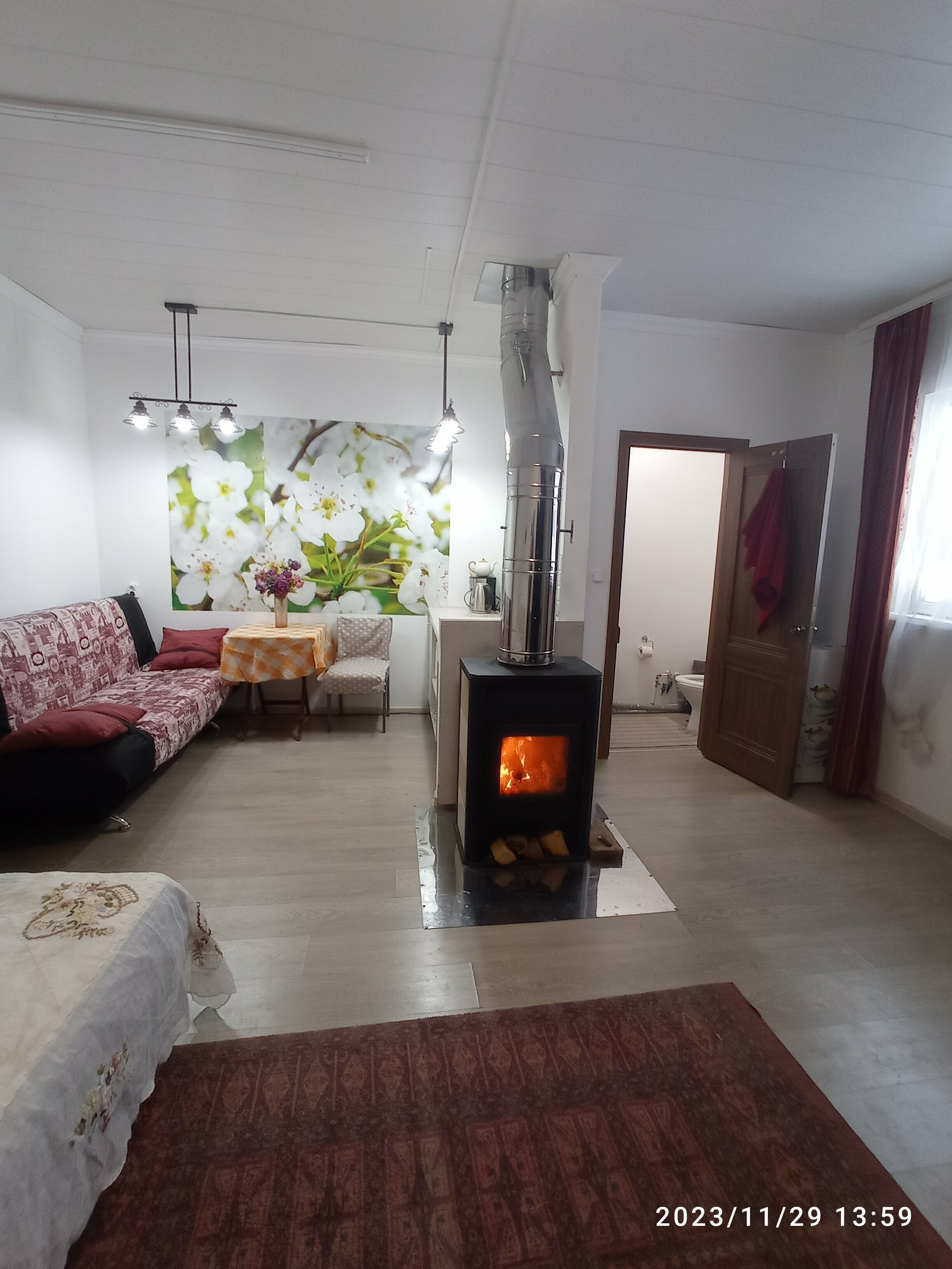 Номер-студия с видом на сад