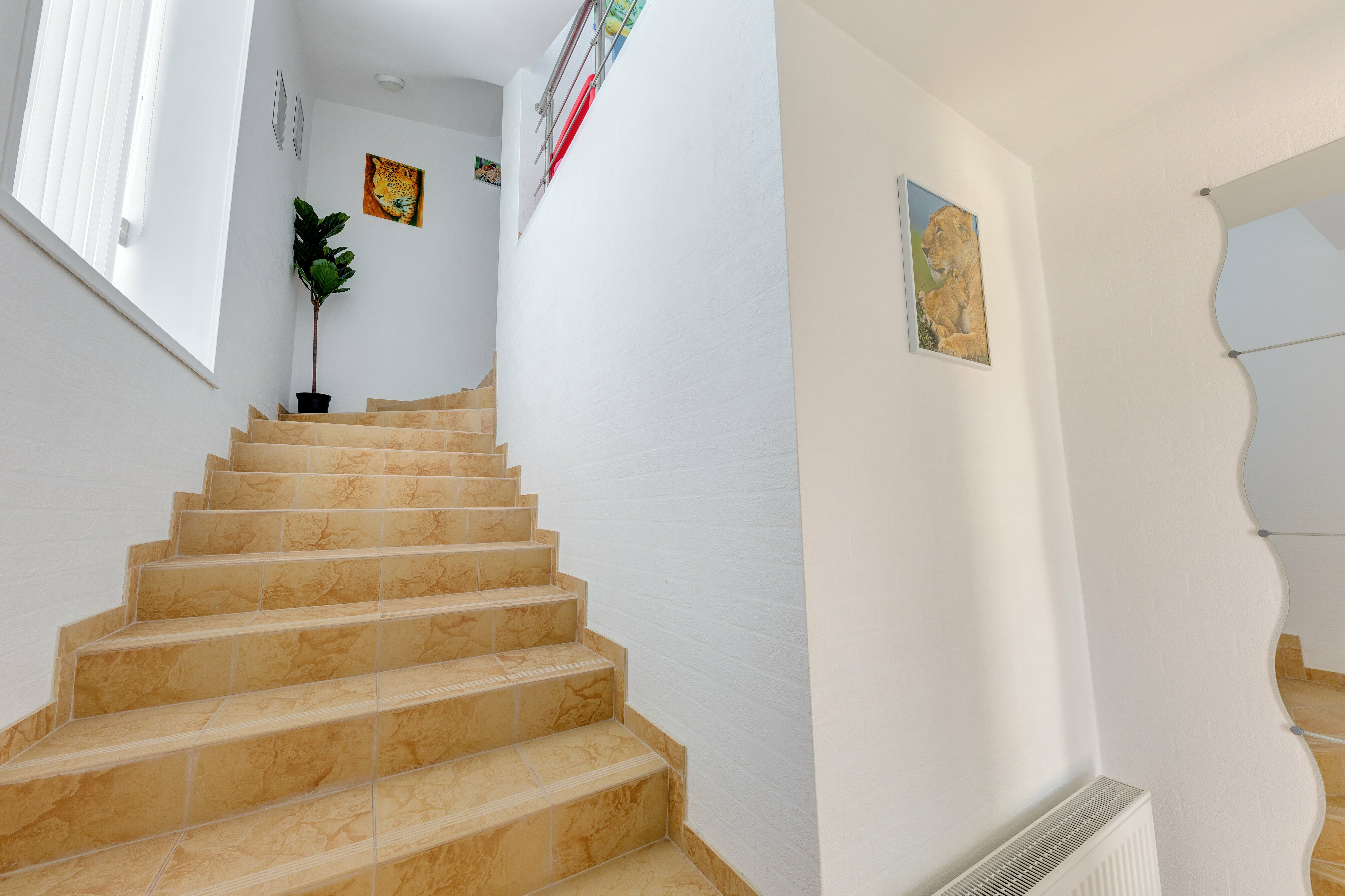 Номер-студия с видом на море