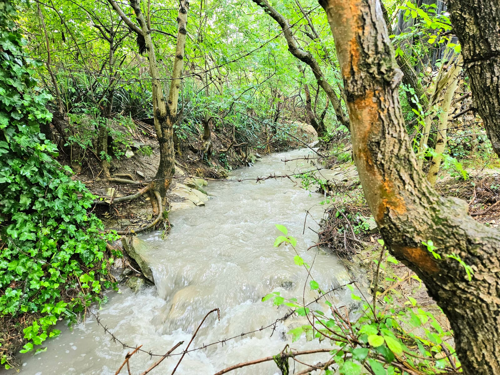 Стандартный номер-студия