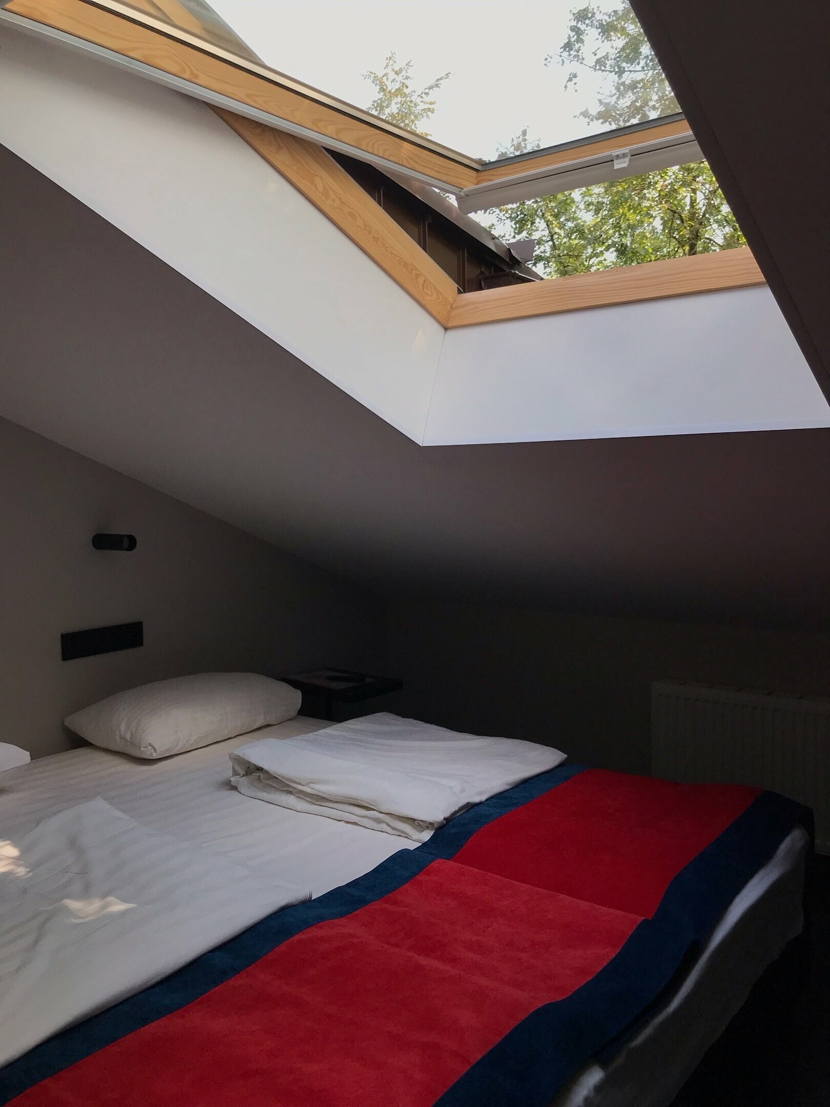 Двухместный номер Делюкс с 1 кроватью или 2 отдельными кроватями