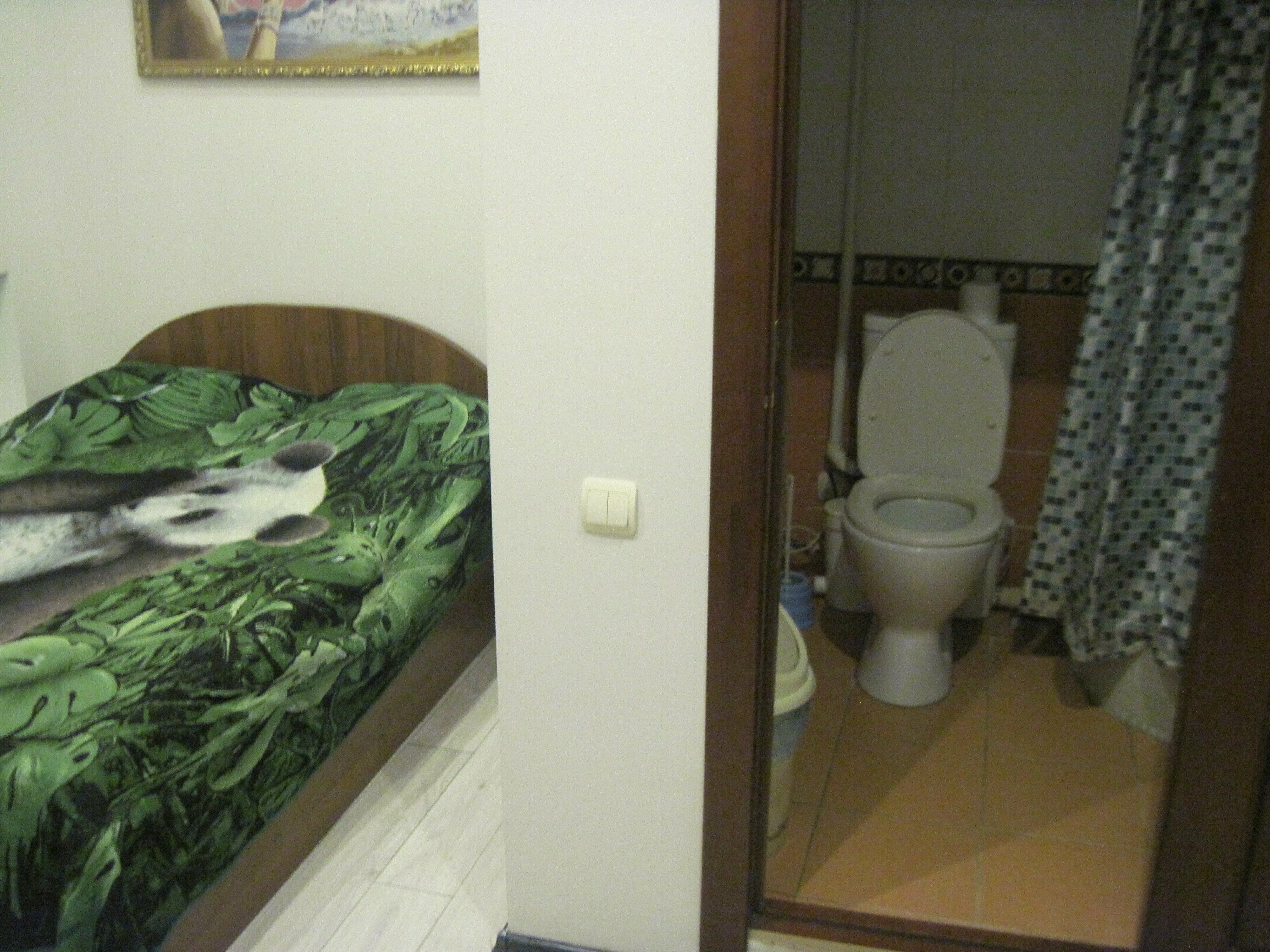 Двухместный номер Делюкс с 1 кроватью