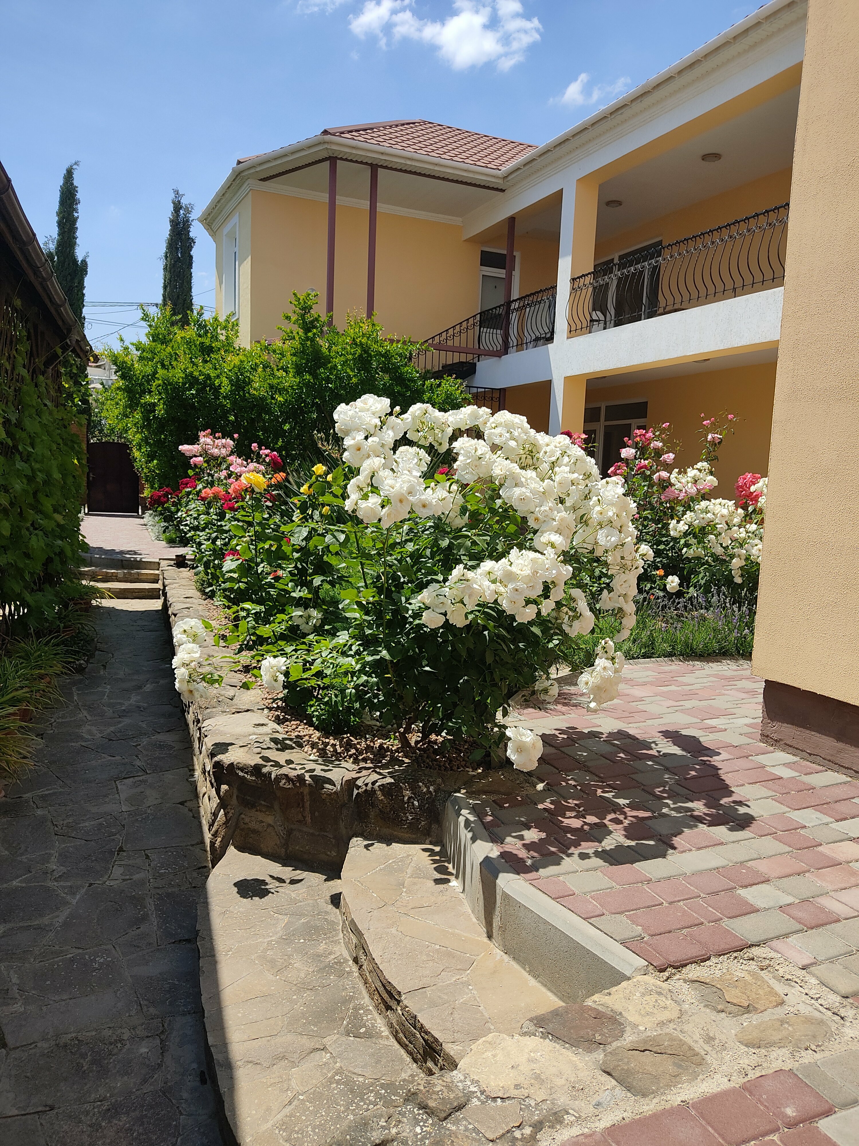 Апартаменты с 1 спальней