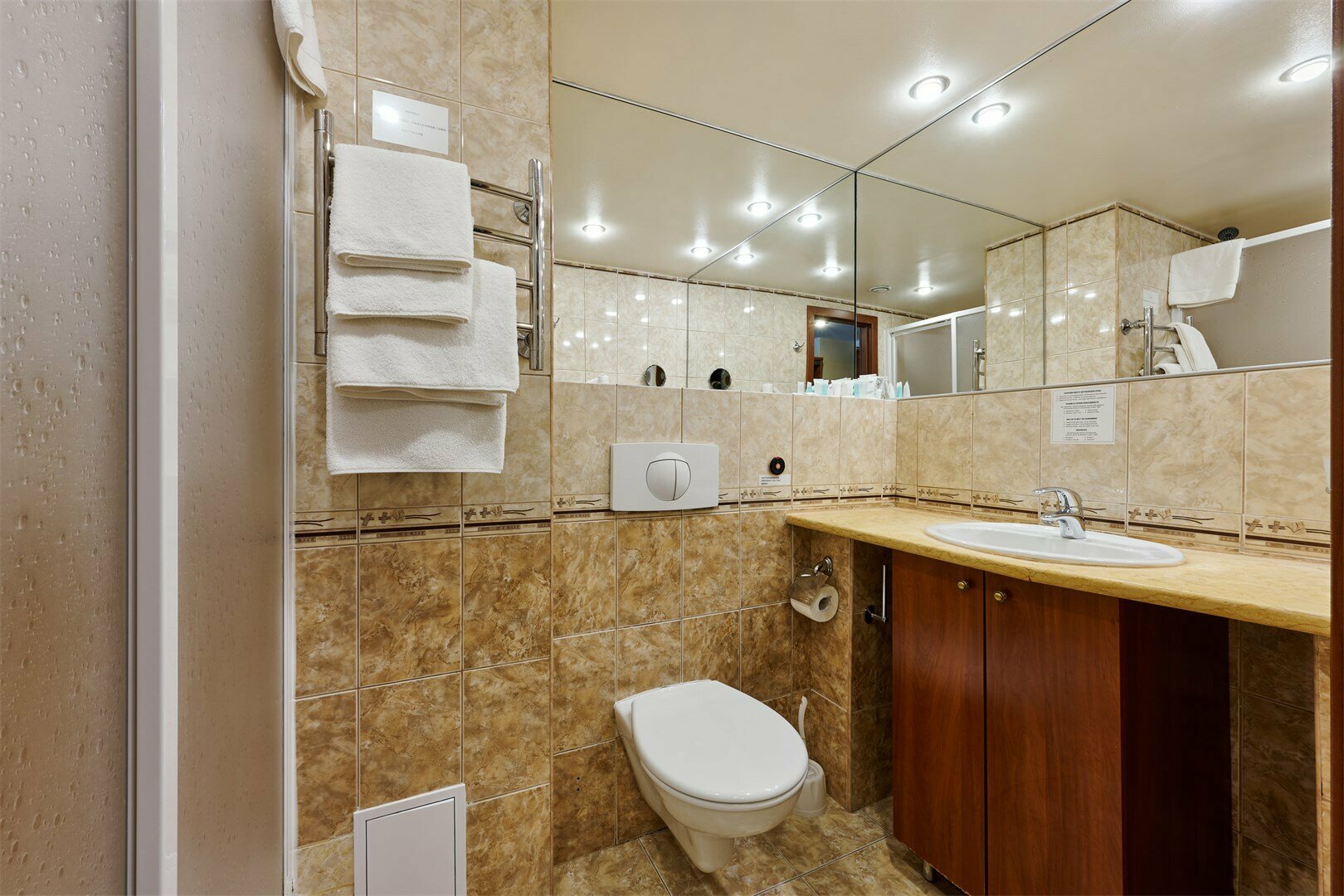 Двухместный номер с 1 кроватью