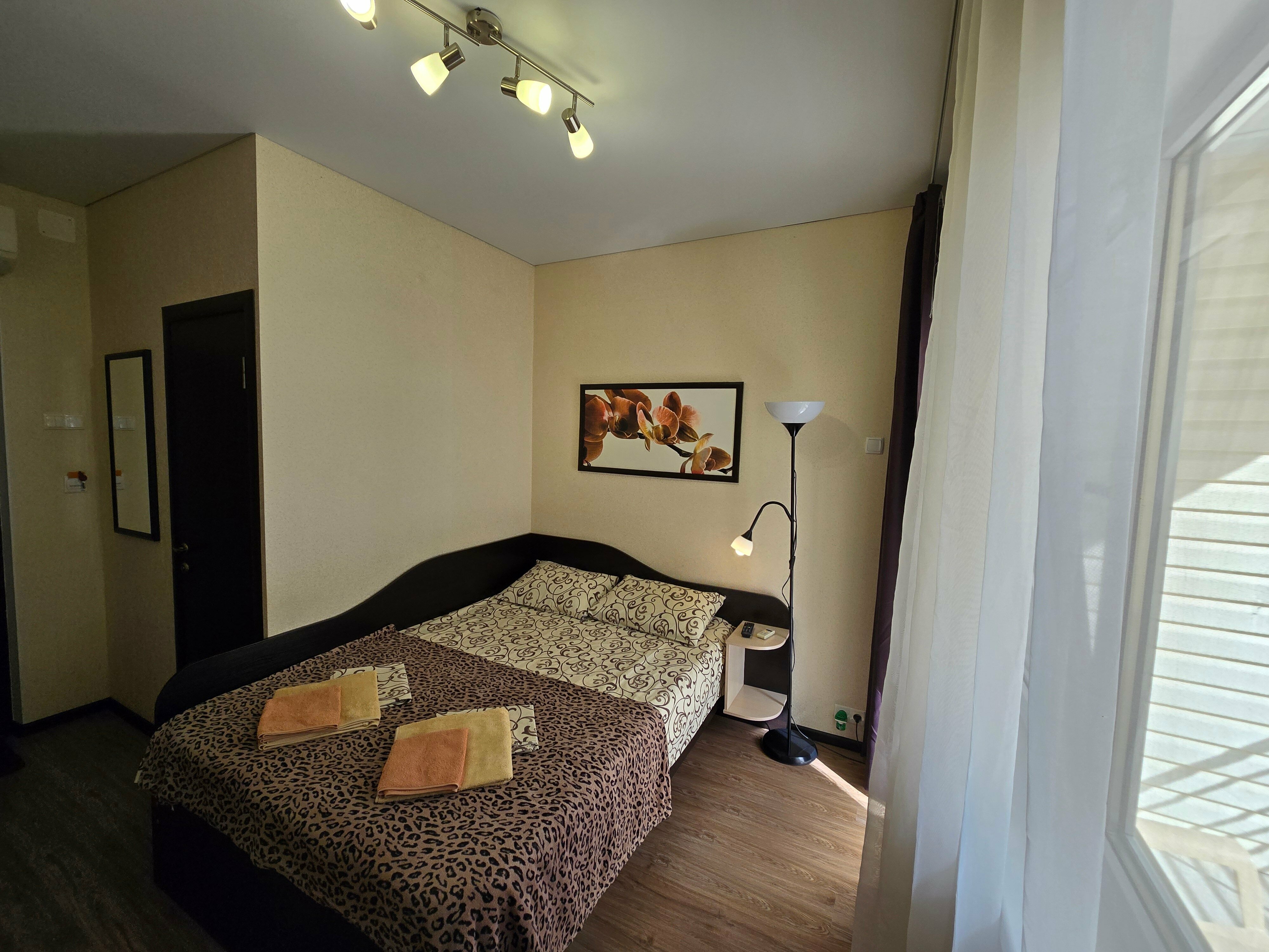 Двухместный номер с 1 кроватью и балконом